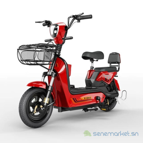 moto-electrique-2-places-big-0