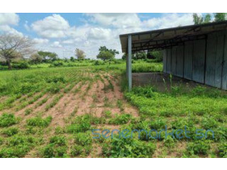 A vendre, à warang sidibougou, un terrain de 5480m2 avec un grand hangar.