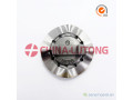 ve-cam-plate-2466110125-and-ve-cam-plate-2466110201-small-0