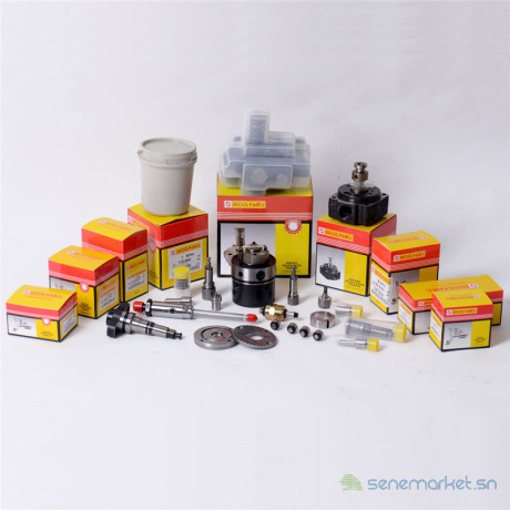 kit-de-reparation-de-pompe-a-injection-cav-big-0