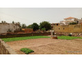 terrain-de-500-metres-carres-a-mbour-small-0