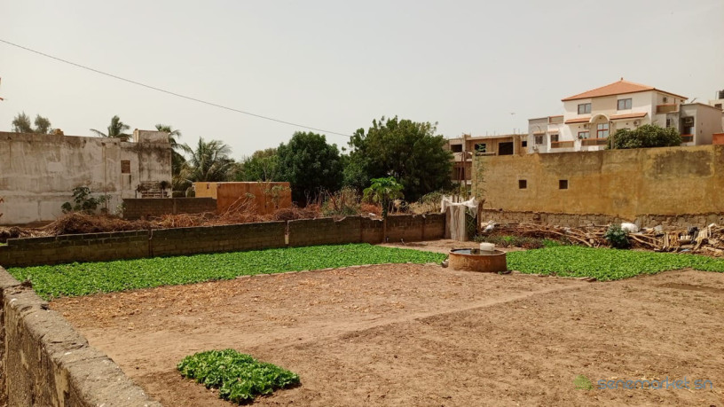 terrain-de-500-metres-carres-a-mbour-big-0
