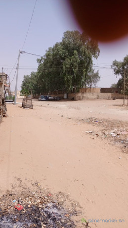 terrain-de-500-metres-carres-a-mbour-big-2