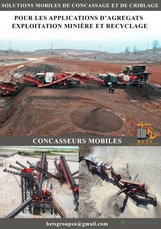 vente-de-concasseur-au-senegal-big-2