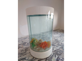 Aquarium
