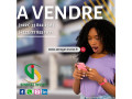 terrain-a-vendre-baobab-small-0