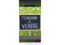 terrain-a-vendre-small-0