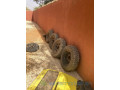 4-pneus-doccasion-jantes-buggy4x4-small-0