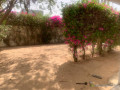 a-vendre-a-saly-bambara-une-villa-de-plain-pied-sur-un-terrain-de-398m2-a-10-minutes-de-la-plage-small-1