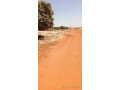 terrain-bambilor-face-cdc-a-500m-de-route-small-0