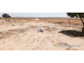 terrains-bambilor-face-cite-cdc-a-500m-route-small-0