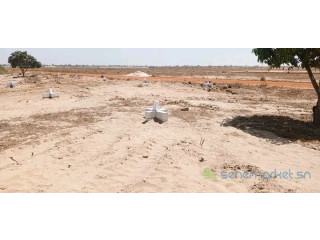Terrains Bambilor face Cité CDC à 500m Route