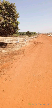 terrains-bambilor-face-cite-cdc-a-500m-route-big-1