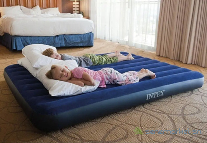 matelas-gonflable-2-places-dimensions-20315225cm-plus-pompe-electrique-big-2