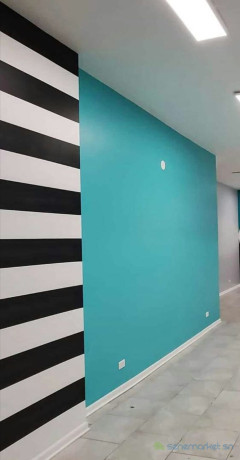peinture-decoration-en-batiment-big-2