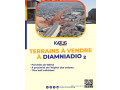 parcelle-a-diamniadio-small-0