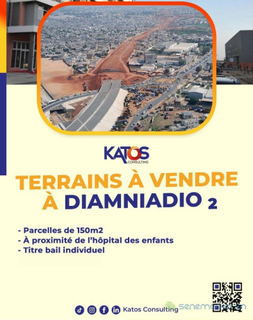 parcelle-a-diamniadio-big-0