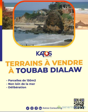 terrain-a-vendre-a-toubab-dialaw-big-0