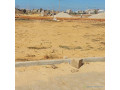 terrains-a-vendre-croisement-niague-small-0