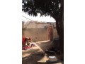 terrain-qui-se-trouve-a-tivaouane-small-0