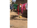 terrain-qui-se-trouve-a-tivaouane-small-4