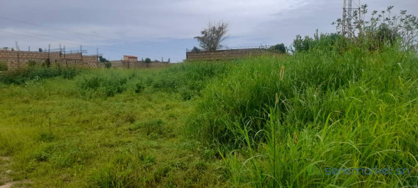 terrain-malicounda-big-1
