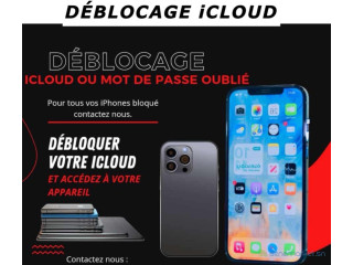 Déblocage iCloud iPhone