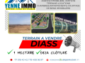 terrain-a-vendre-diass-small-0