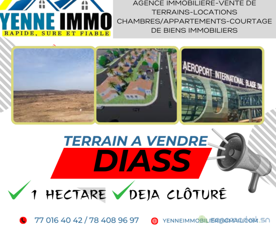 terrain-a-vendre-diass-big-0