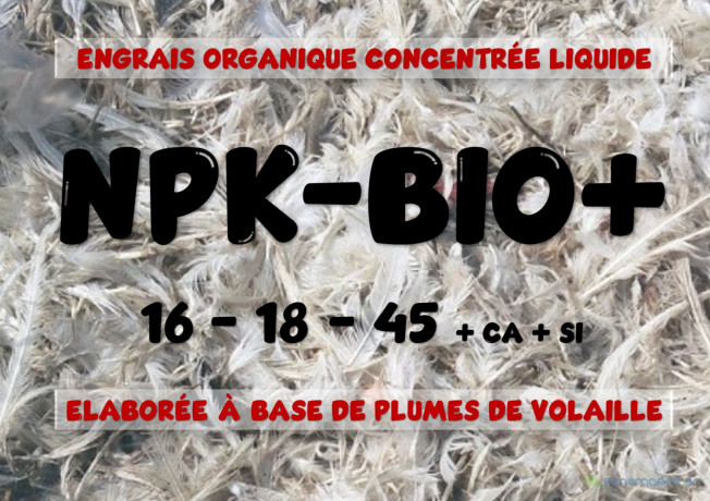 npk-bio-big-0