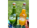 jus-locaux-100-naturel-small-3
