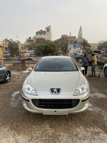 peugeot-407-venant-big-0