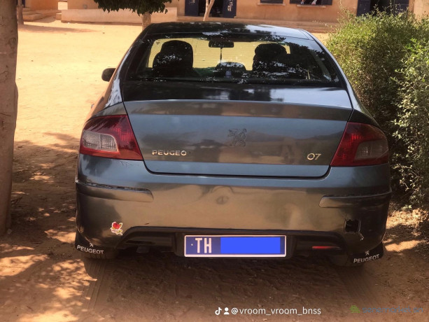peugeot-407-big-2