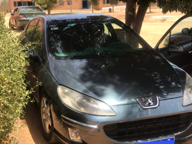 peugeot-407-big-1