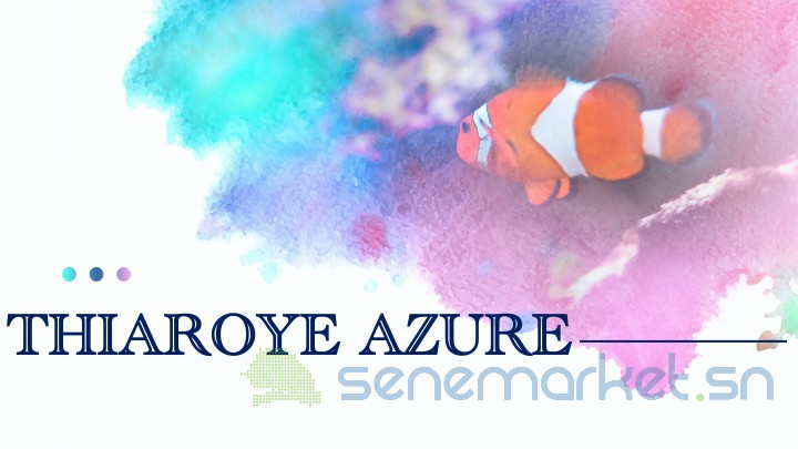 terrain-thiaroye-azure-big-0