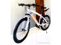 velos-vtt-enfant-adulte-small-3