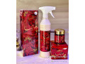 parfum-de-chambre-small-3
