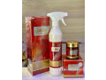 parfum-de-chambre-small-2