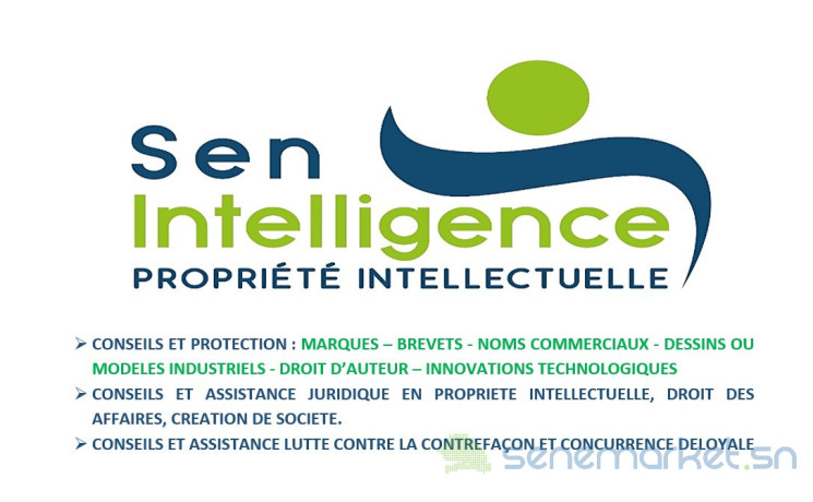 conseil-en-propriete-intellectuelle-et-assistance-juridique-big-0