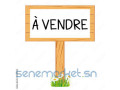 villa-252-m2-commercial-a-liberte-2-small-0