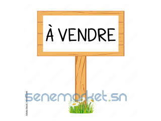 Villa 252 M2 commercial à liberté 2