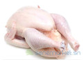 poulets-small-0