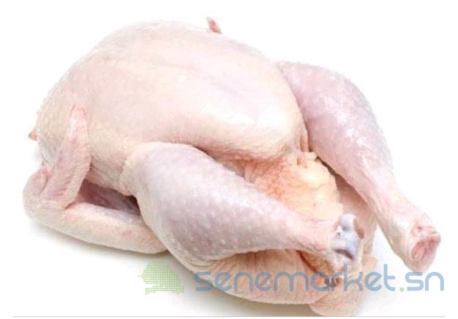 poulets-big-0