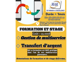NOUVELLE FORMATION PRATIQUE EN MULTI-SERVICES