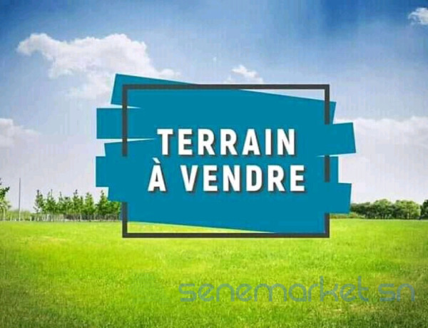terrain-a-vendre-a-yoff-apecsy-1-big-0