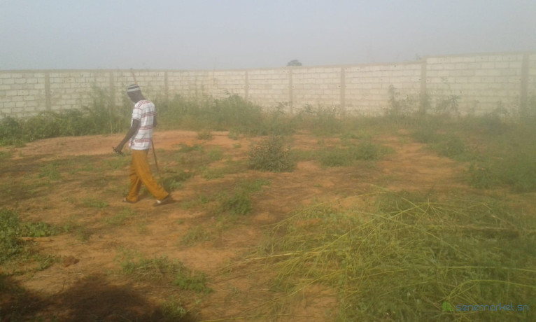 terrain-a-vendre-a-mboul-keur-moussa-km-50-route-dakar-thies-big-2