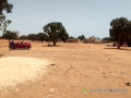 terrains-180m2-pout-tf-indiv-face-ecole-5-small-2