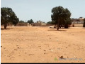 terrains-180m2-pout-tf-indiv-face-ecole-5-small-0