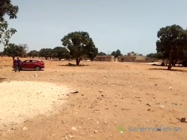 terrains-180m2-pout-tf-indiv-face-ecole-5-big-2