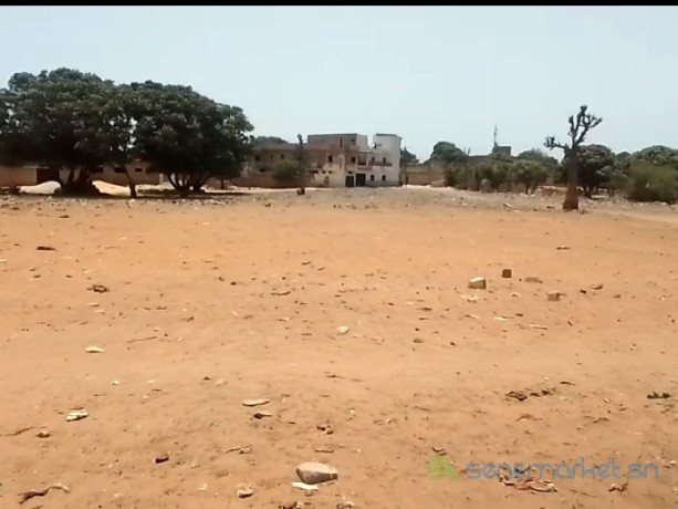 terrains-180m2-pout-tf-indiv-face-ecole-5-big-1